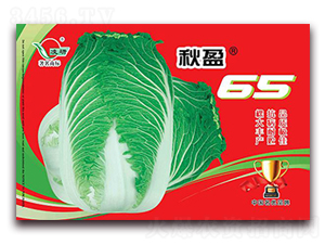 ��ӯ65-�ײ�����-�ʴ�ũҵ