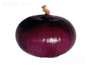 Ȫ�ݳ����-�������-����ũҵ