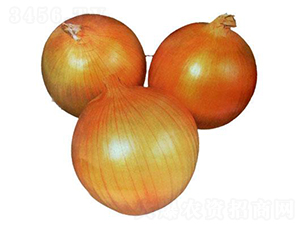 ����Ȫ�ݻ����-�������-����ũҵ