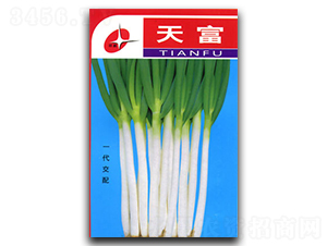 �츻-�������-�������