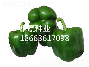�ȱ���F1��������-������-������ҵ