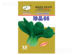 ��Ʒ66-�๣������-��������