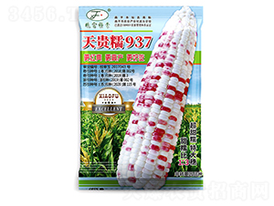 ���Ŵ937-��������-��������