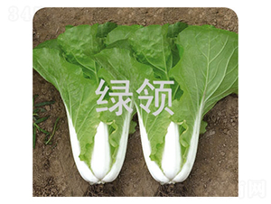 ����1258-С�ײ�����-������ҵ