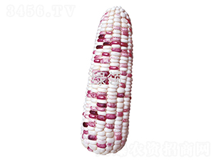 �տ�Ŵ10��-Ŵ��������-������ҵ