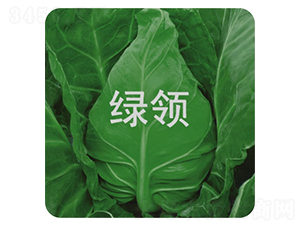 �ո�21-��������-������ҵ