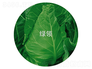 �ո�20-��������-������ҵ