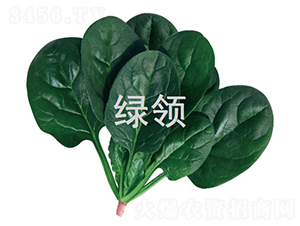 ī��1807-��������-������ҵ