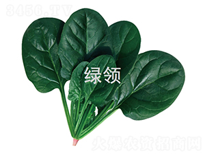 ī��1806-��������-������ҵ