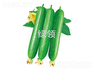 ����2��-˿������-������ҵ
