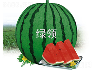 ��������188-��������-������ҵ