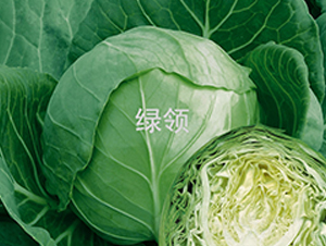 �̸�204-��������-������ҵ