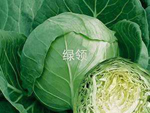 �̸�203-��������-������ҵ