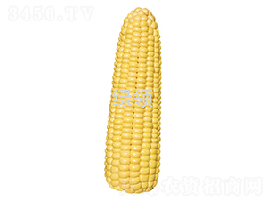 ����618-��������-������ҵ