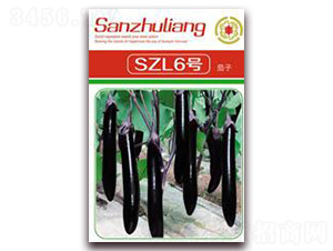 SZL6��-��������-������