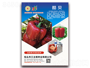 �ᱴ-��������-������