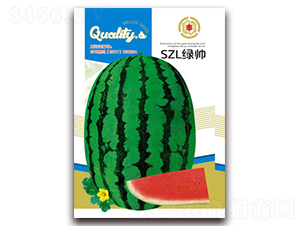 SZL��˧-��������-������