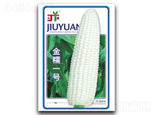 ��Ŵһ��-Ŵ��������-������