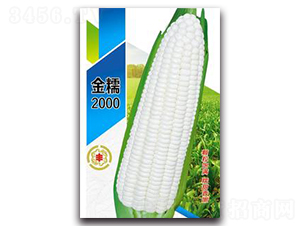 ��Ŵ2000-Ŵ��������-������