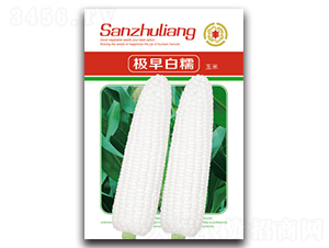 �����Ŵ-Ŵ��������-������