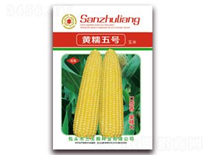 ��Ŵ���-Ŵ��������-������