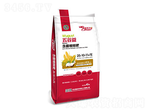 ����溬�����ͷ�25-10-11+TE-����֮��-���ʼ���