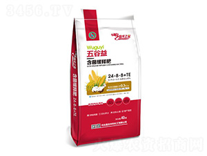 ����溬�����ͷ�24-8-8+TE-����֮��-���ʼ���