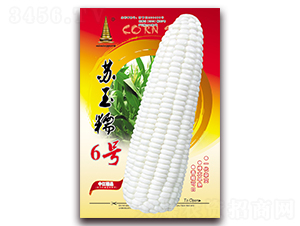 ����Ŵ6��-Ŵ��������-�н�ũҵ