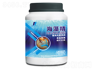 1000g���徫-�������