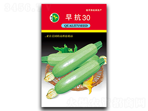 �翹30-����«����-�·���ҵ