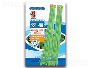 �丣-��������-����