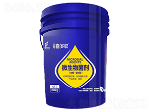 ΢�������-��ũϲ����-��ũֲ��