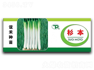 ɼ��-�������-���