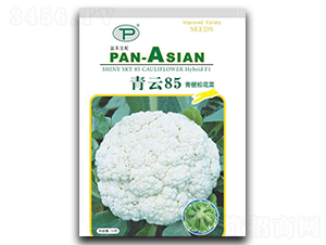 ����85-�ɻ�������-���