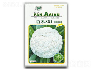 ���851-�ɻ�������-���