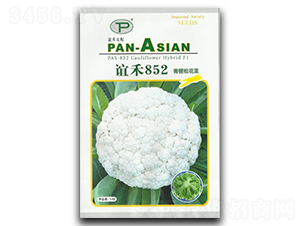 ���852-�ɻ�������-���