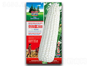 ����Ŵ2000-Ŵ��������-�����