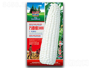 ����Ŵ3000-Ŵ��������-�����