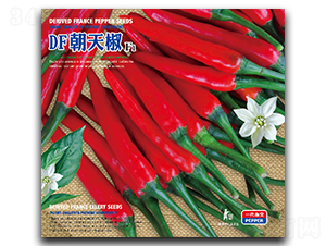 DF���콷-��������-�����