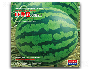DF����-��������-�����
