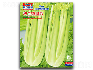 �����»ʺ󣨹ޣ�-�۲�����-�����