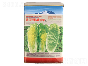 �����������޲�F1���ޣ�-���޲�����-�����