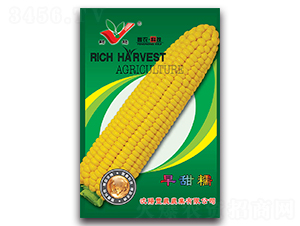 ����Ŵ-Ŵ��������-��ũũҵ