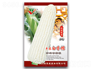 ��ũ����Ŵ-Ŵ��������-��ũũҵ