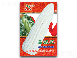 ѩ�޻�-Ŵ��������-��ũũҵ