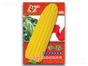 ����-Ŵ��������-��ũũҵ