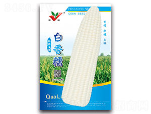 ����Ŵ-Ŵ��������-��ũũҵ