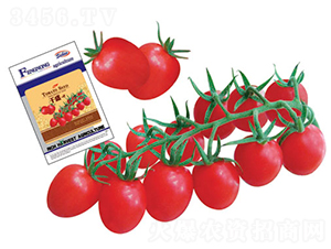 ǧʢ-2-��������-��ũũҵ