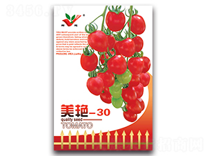 ����-30-��������-��ũũҵ