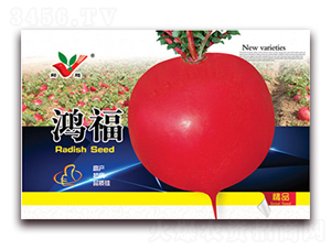 �踣-�ܲ�����-��ũũҵ